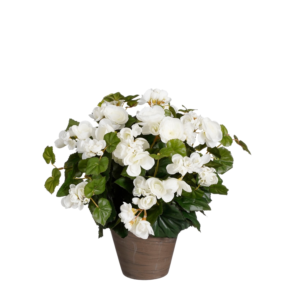 Plante artificielle en pot de ciment 'Bégonia', coloris blanc - H. 37cm