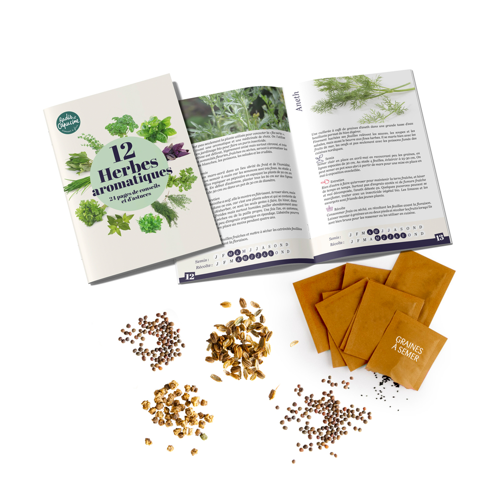 Enveloppe 12 sachets de graines, herbes aromatiques à semer