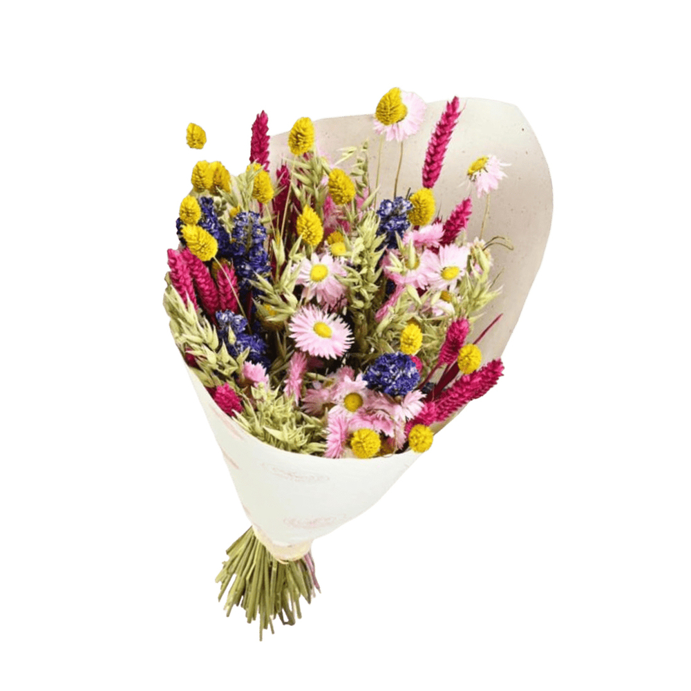 Bouquet de fleurs séchées dandy mix couleurs 50 cm