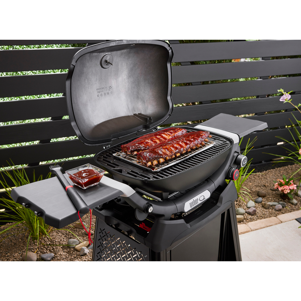 Barbecue à gaz Weber Q 2800N+ sur chariot