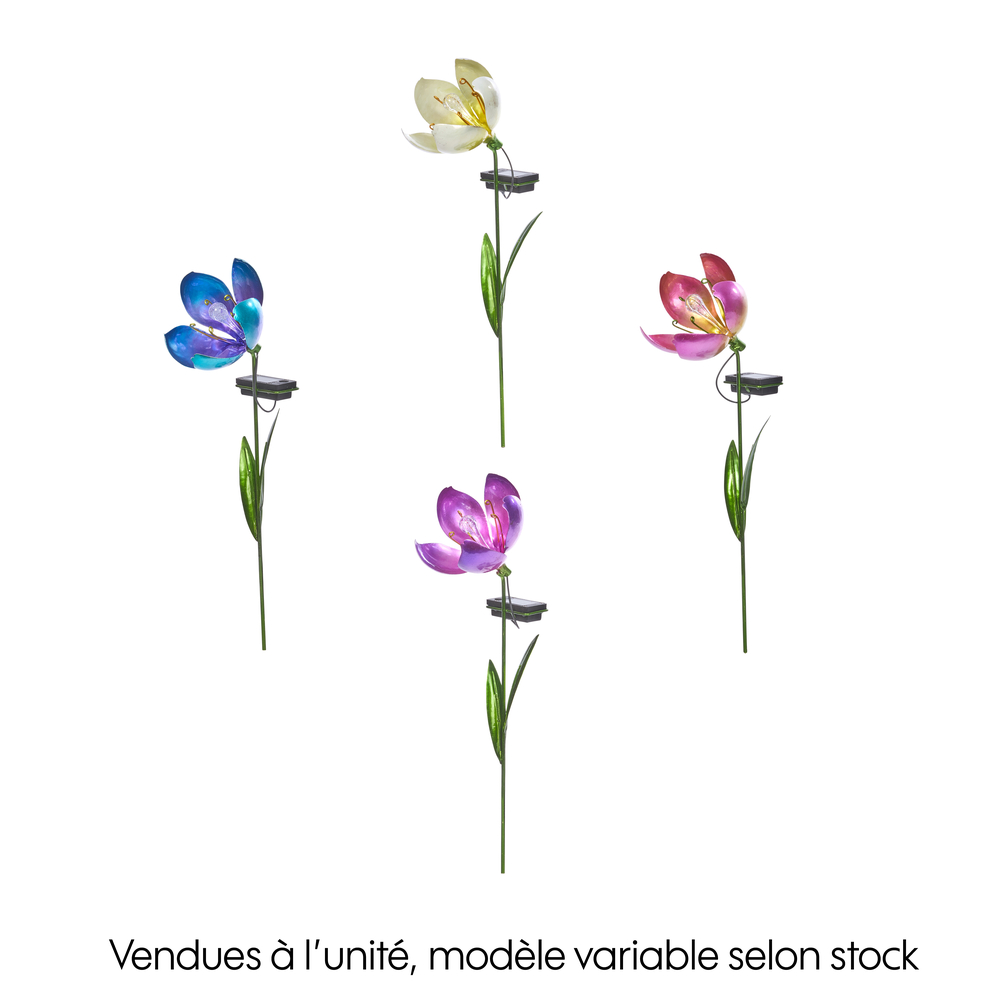 Balise solaire florale 'Bloom', LED blanc chaud - L. 50xH. 50cm