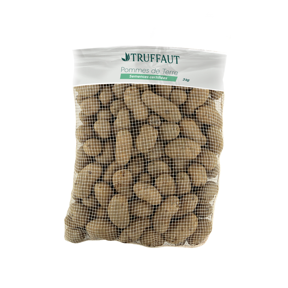 Pommes de terre 'Spunta' : sac 3kg
