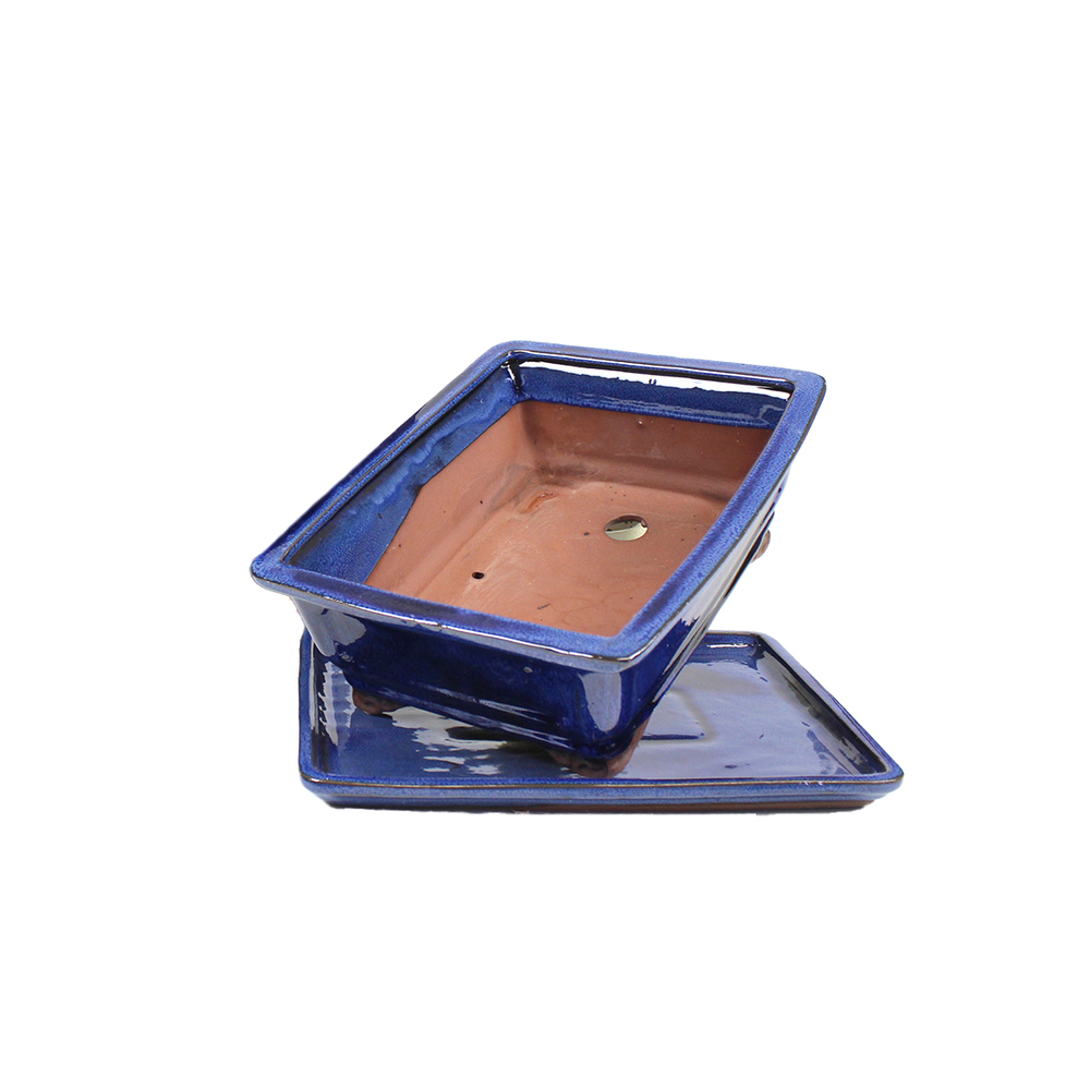 Pot Basic pour bonsaï avec plateau en céramique, coloris bleu - 25cm