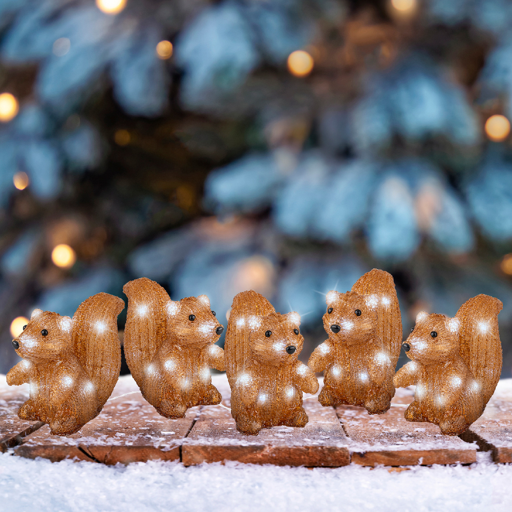 Guirlande lumineuse : écureuil marron, LED blanche froide - L. 17,5m