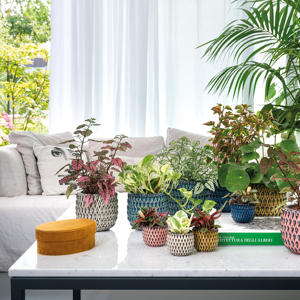 Cache-pot Fizzy blanc D. 13cm