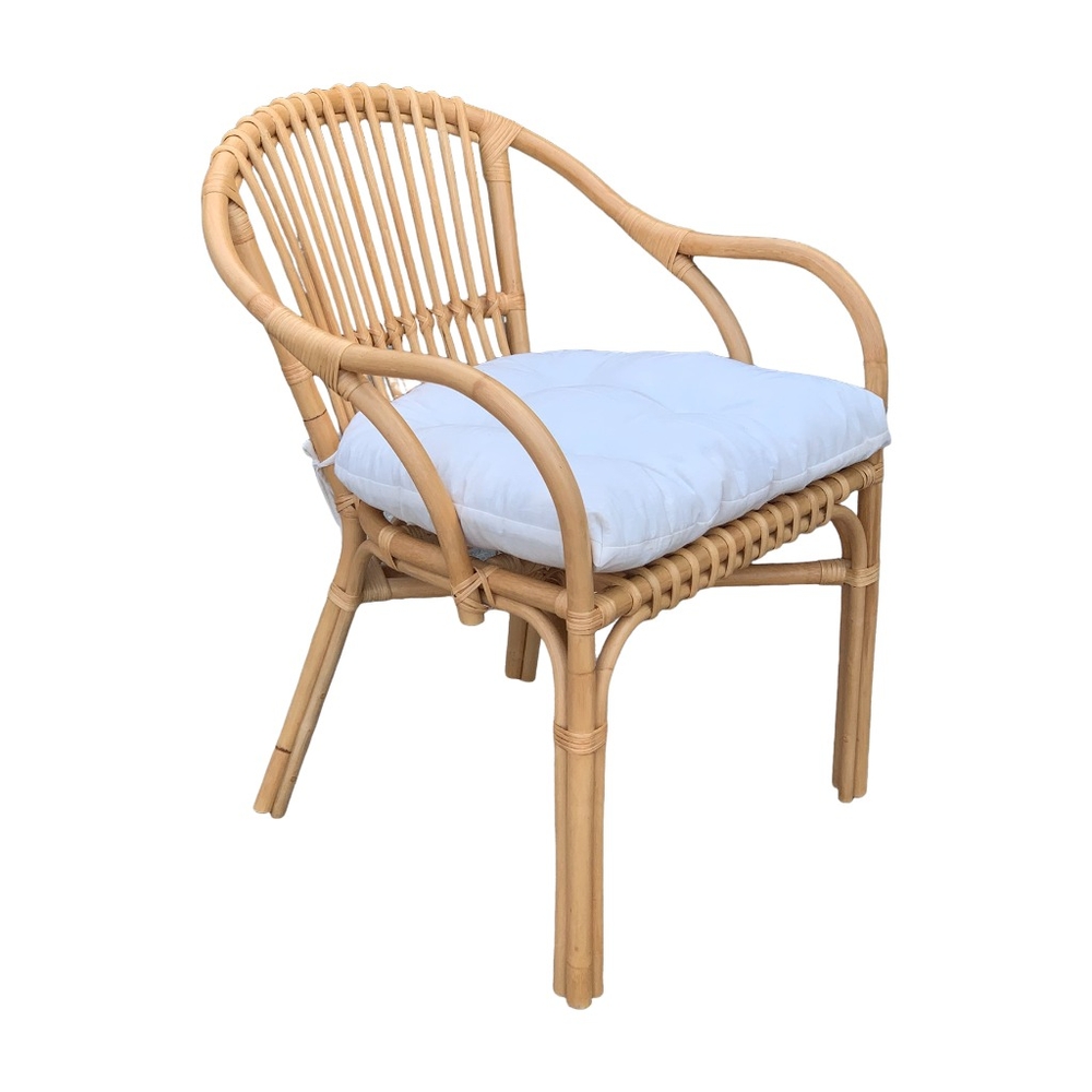 Tondeuse à gazon à batterie 40v - prbat20/ton44sb