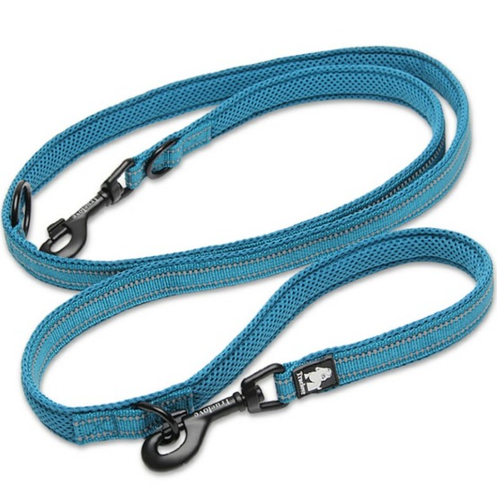 Laisse chien ride - Bleu