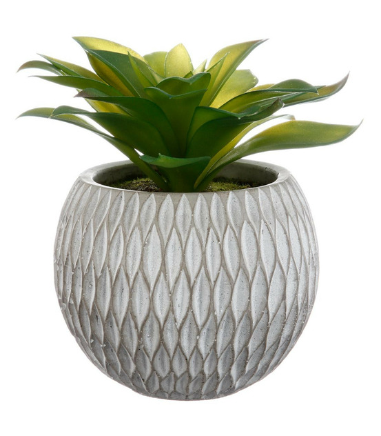 Plante grasse artificielle en pot h 17 cm