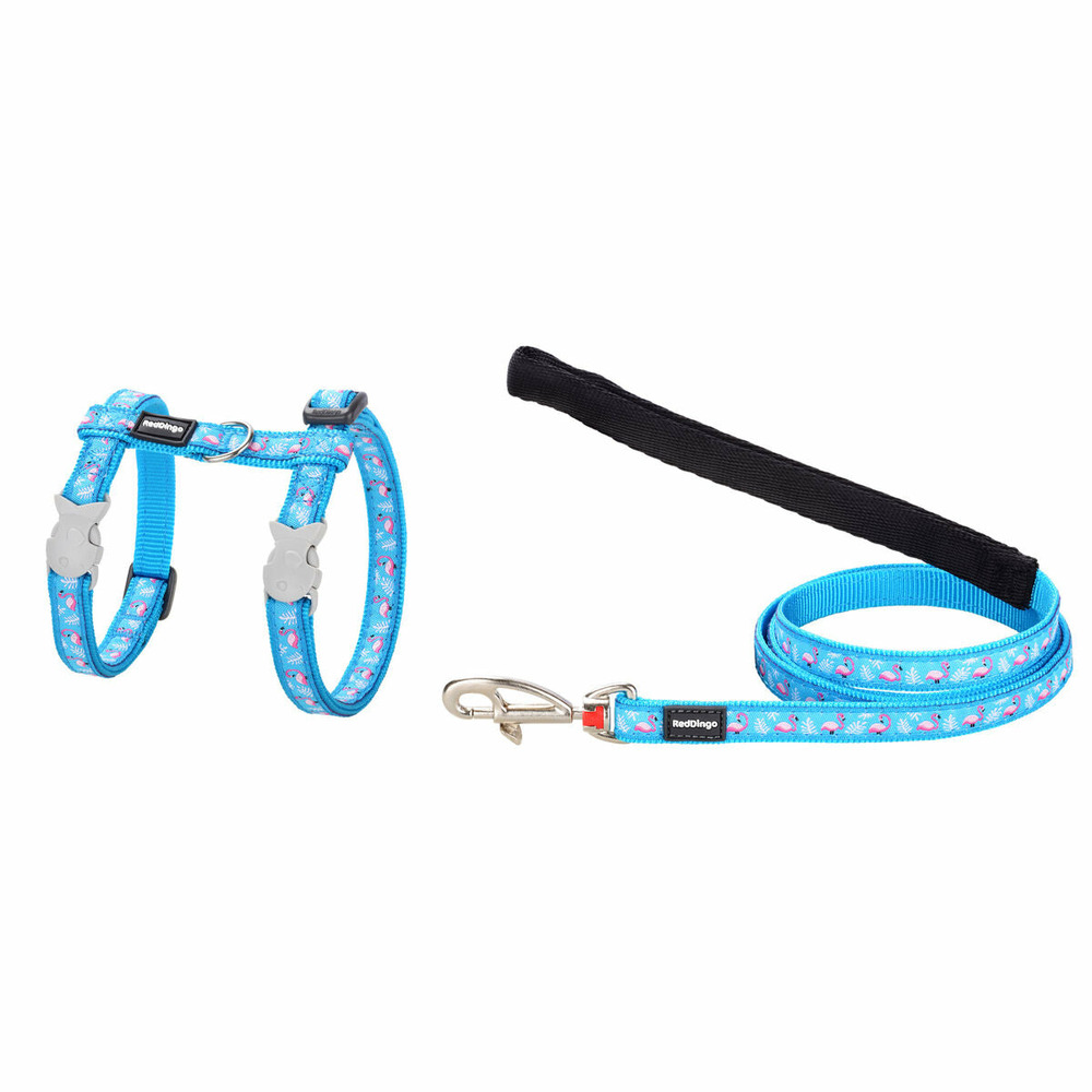 Harnais pour chien red dingo flamingo turquoise