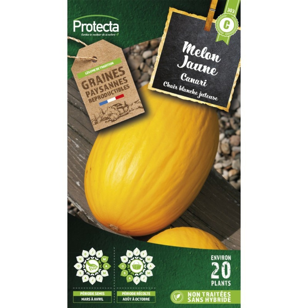 Graines paysannes - melon jaune canari