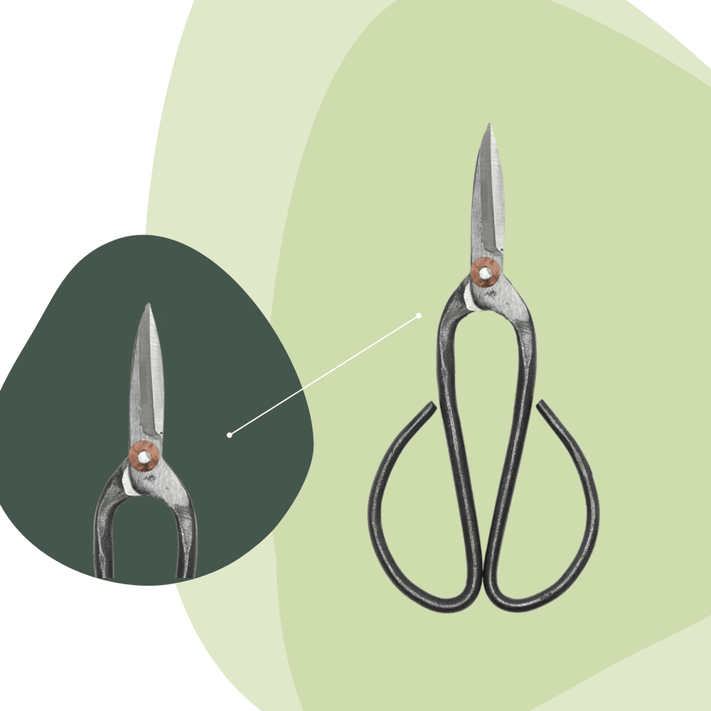 Bonsai shears l - bonsai tool - h19 cm - plantes d'intérieur