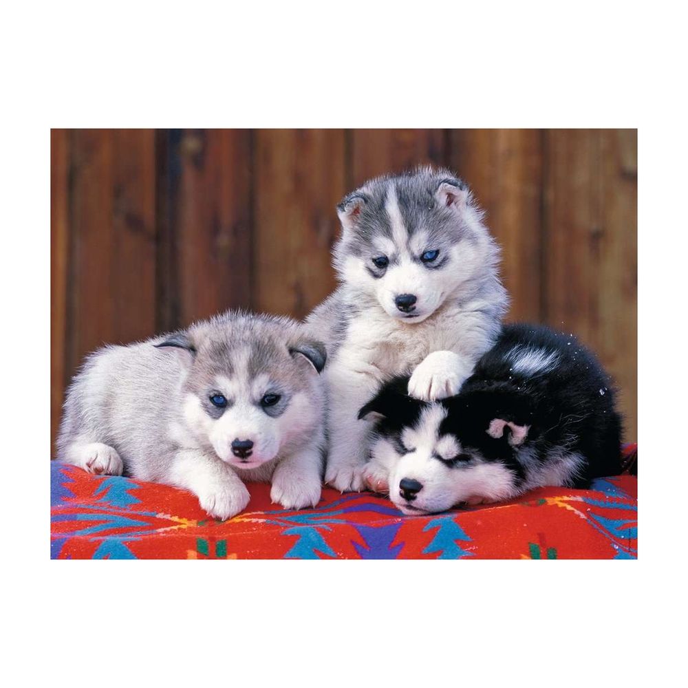Puzzle xxl 200p mignons huskies