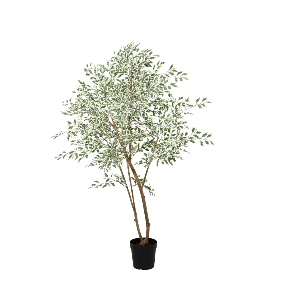 Ficus benjamina variegata - 185cm - ø22cm - plante artificielle