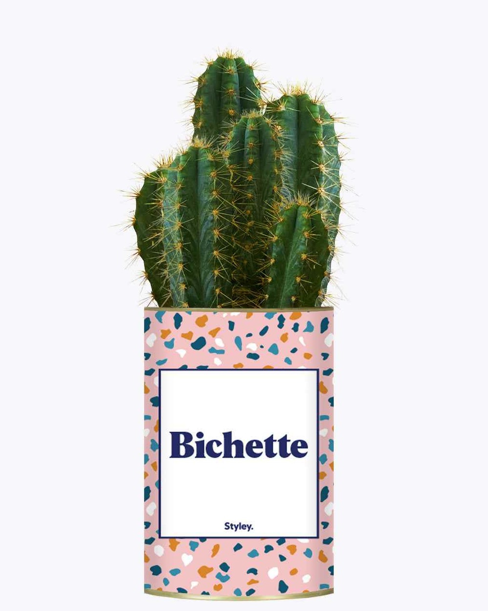 Idée cadeau - bichette - cactus
