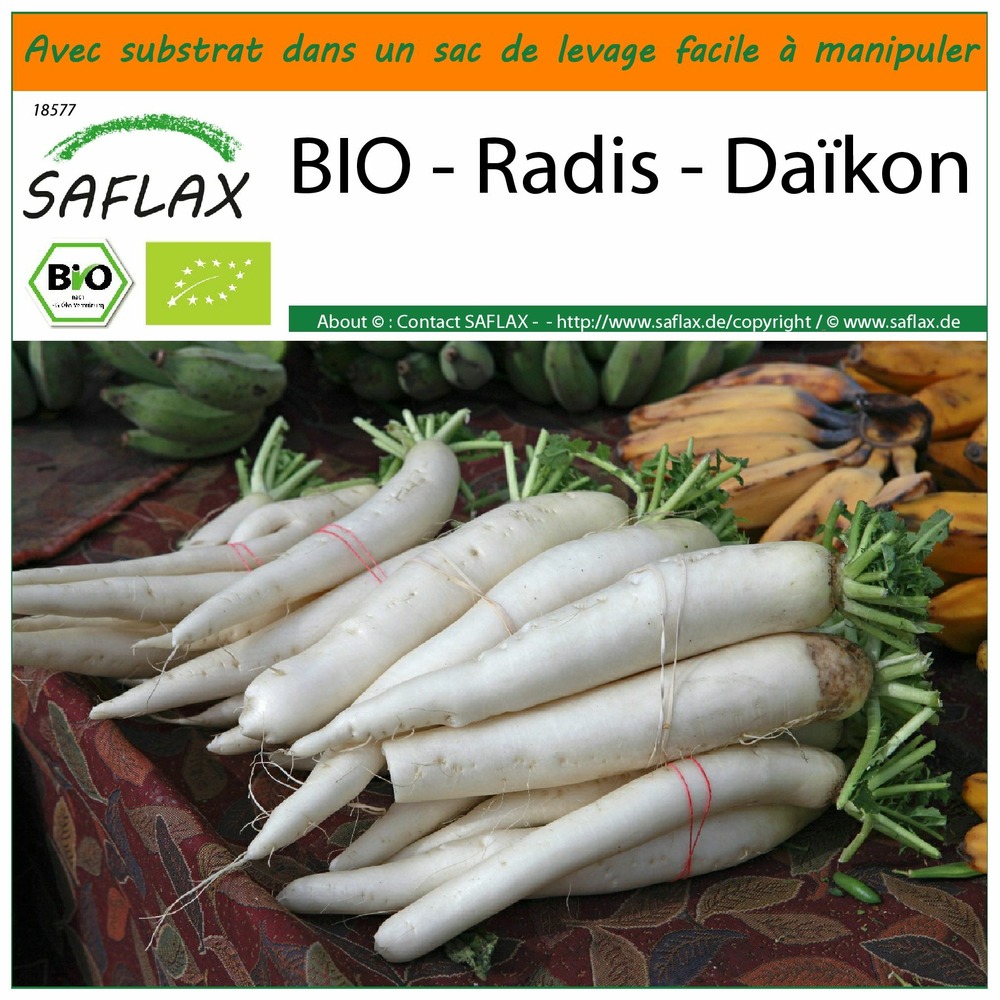 Garden in the bag - bio - radis - daïkon - 100 graines - raphanus sativus