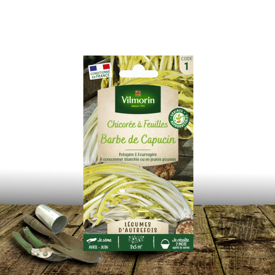 Graines de chicorée à larges feuilles amère type barbe de capucin - vilmorin sachet