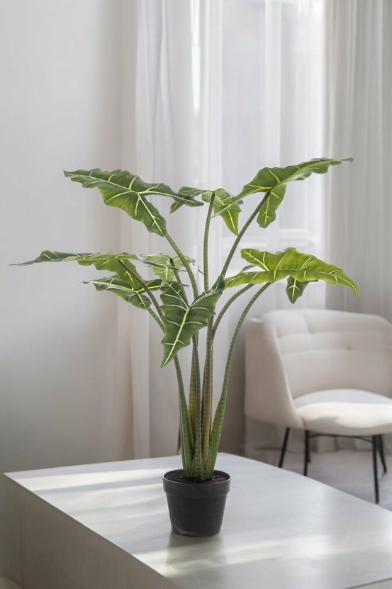 Alocasia plante artificielle - h100cm, ø12cm