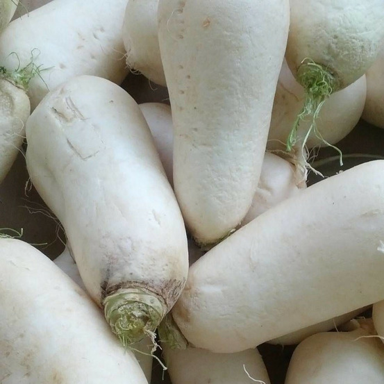 Graines de navet de croissy - vilmorin sachet