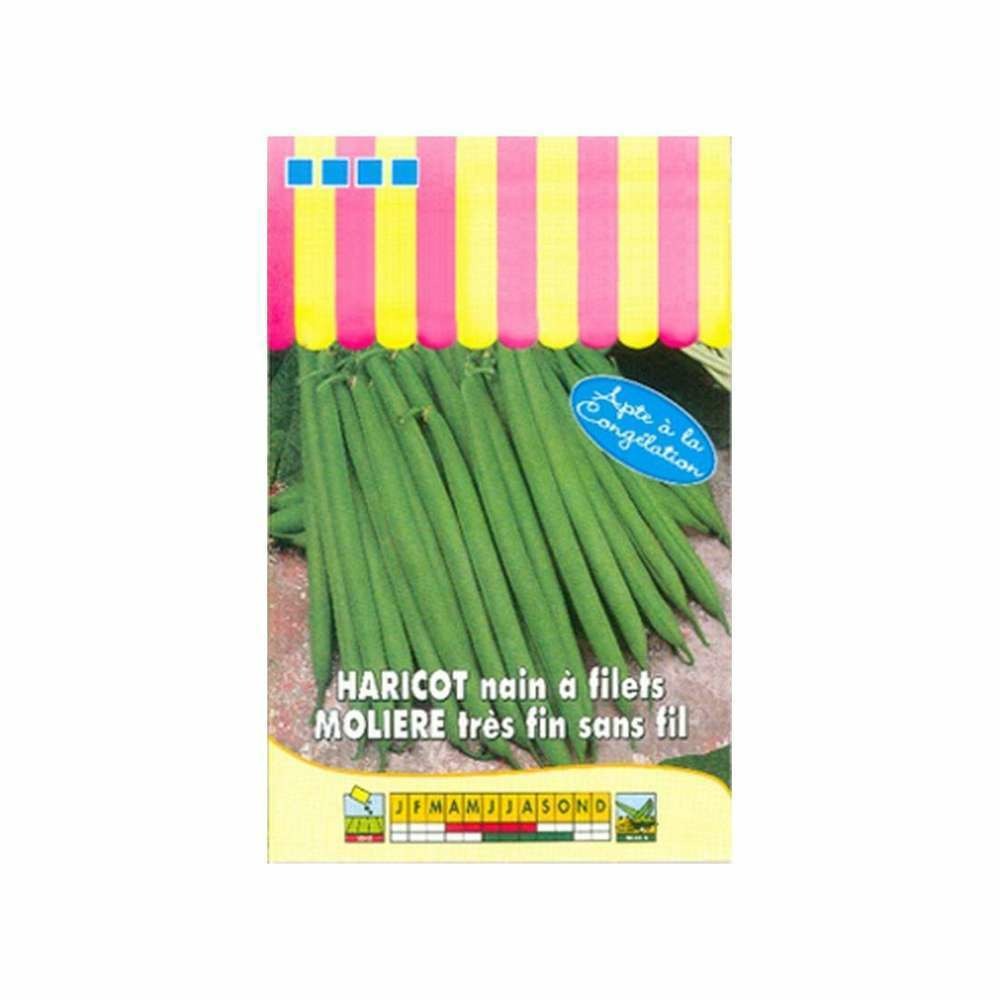 Haricot nain Ã  filet MoliÃšre 100g