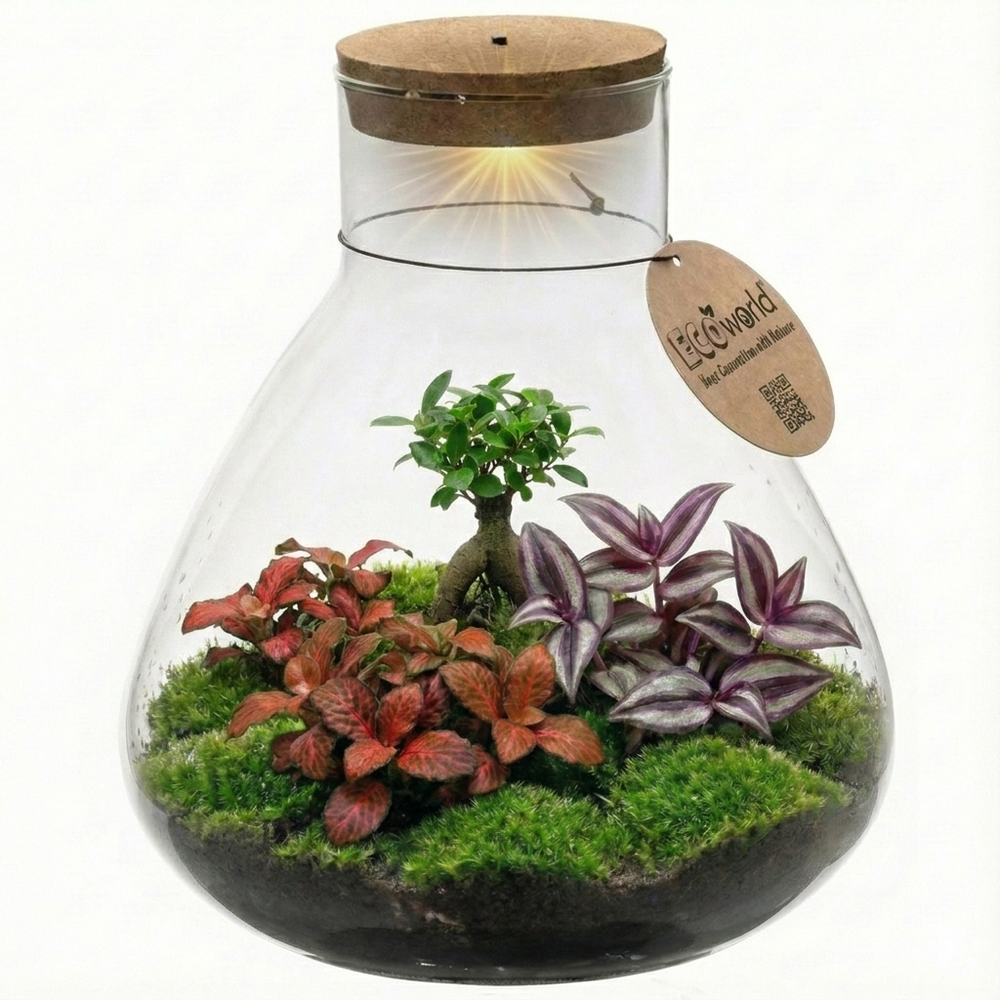 Mini-terrarium à faire soi-même - un écosystème autonome