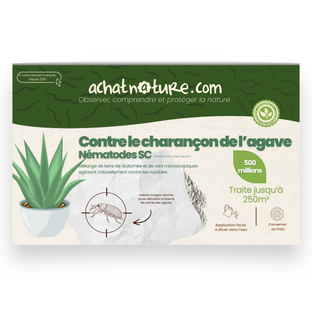 Nématodes sc contre charançon de l'agave - 500 millions - 250 m²