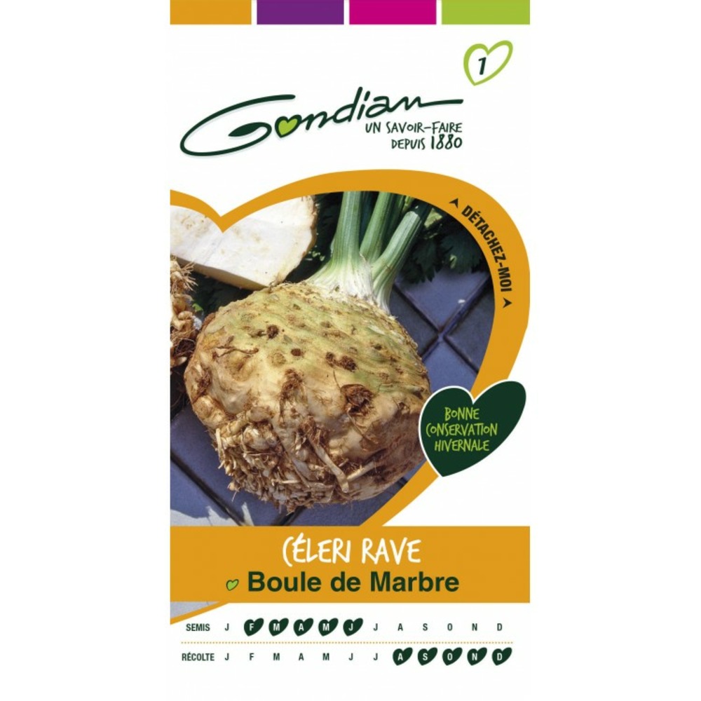 Céleri rave boule de marbre