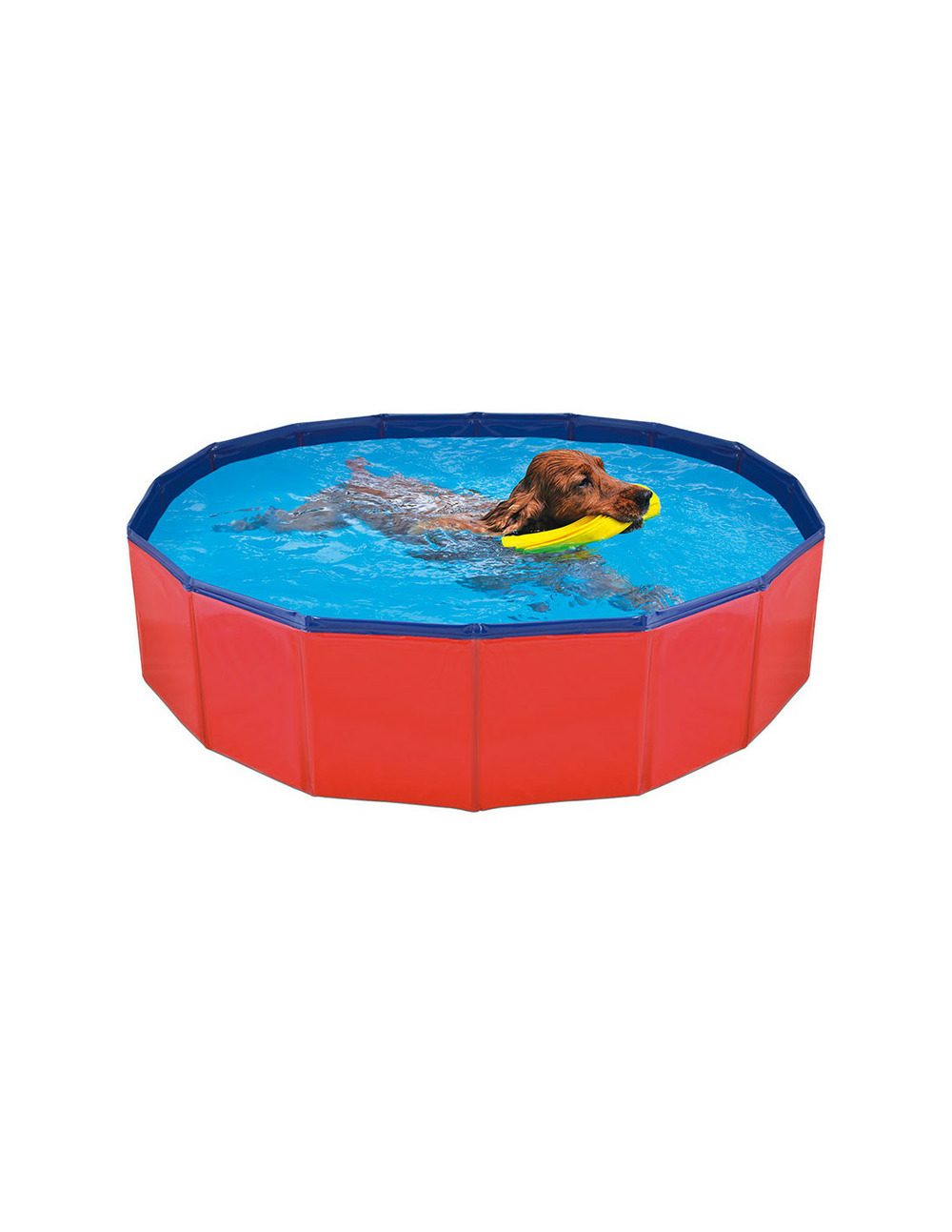Piscine pour chiens 120x30cm nayeco.