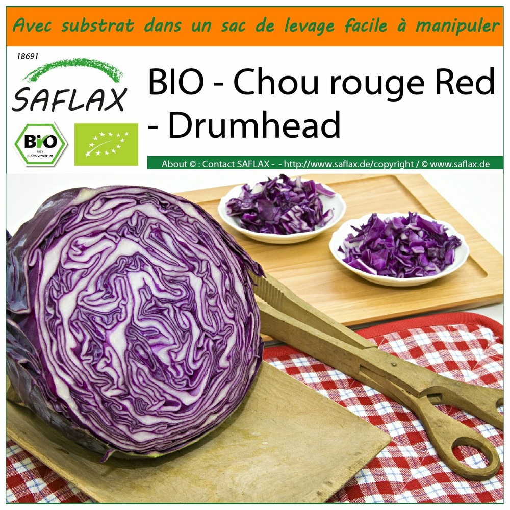 Garden in the bag - bio - chou rouge red - drumhead - 250 graines - brassica oleracea var. Capitata