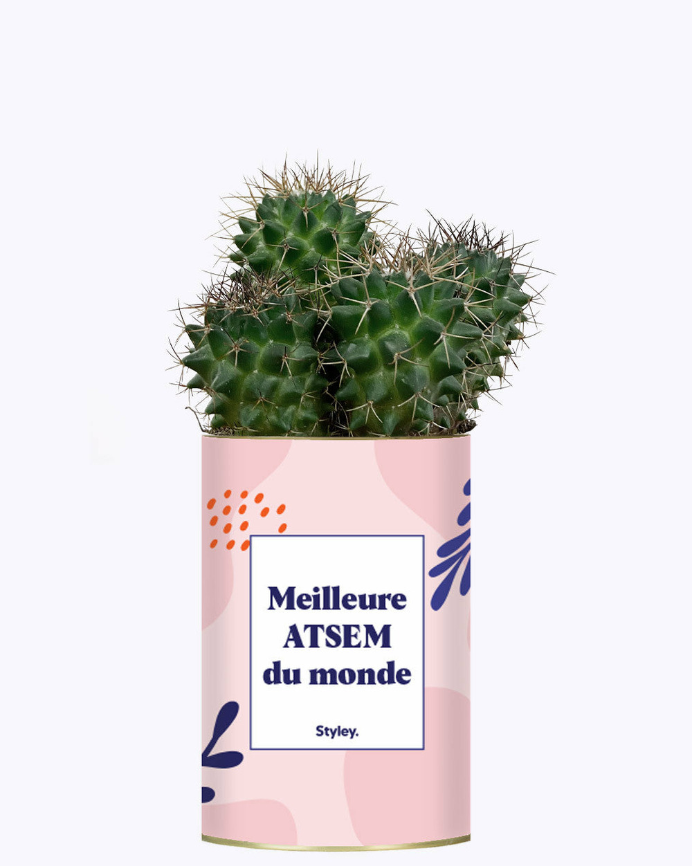 Plante personnalisée - meilleure atsem du monde - cactus