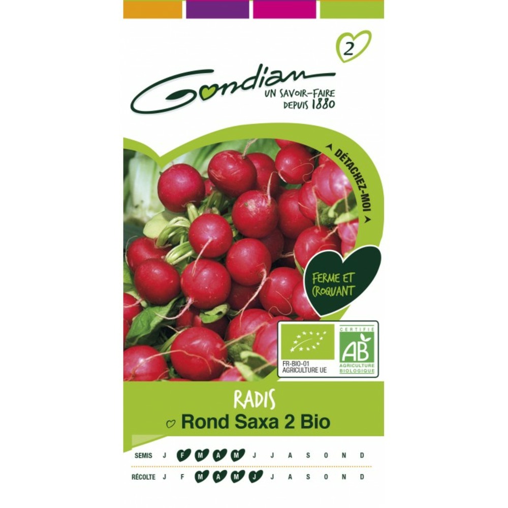Radis rond saxa 2 bio