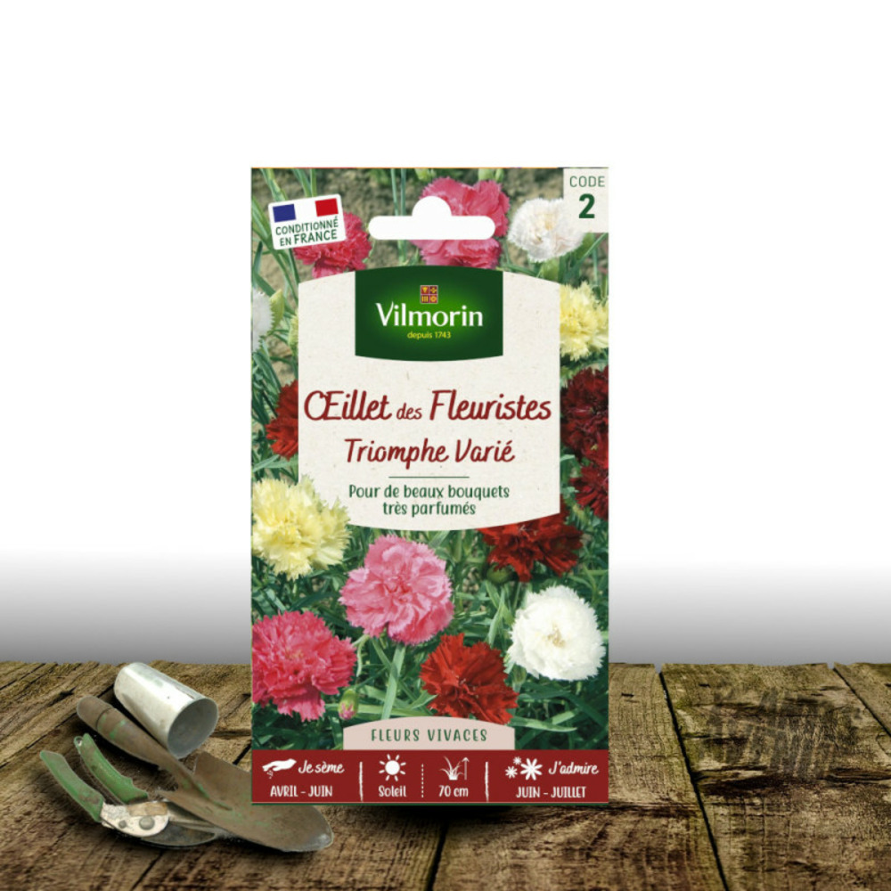 Graines d'oeillet des fleuristes triomphe varié - vilmorin sachet