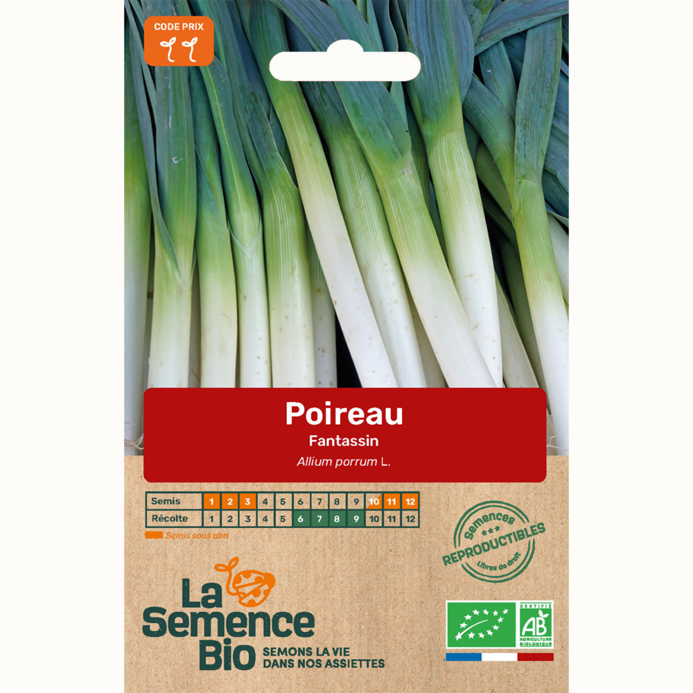 Poireau fantassin - graines bio