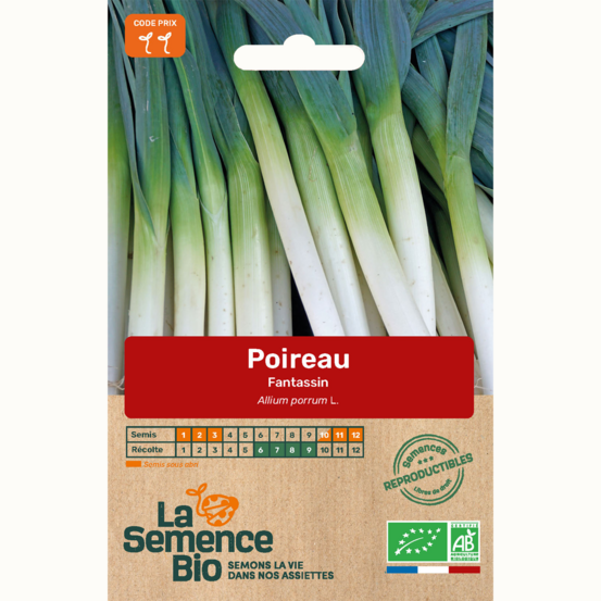 Poireau fantassin - graines bio