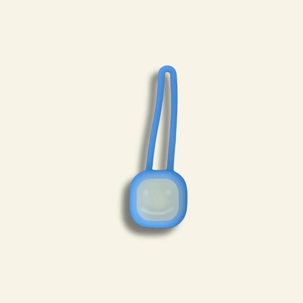 Pendentif led pour chien bleu