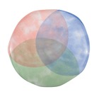 Assiette plate tricolore-paradise par boite de - 6