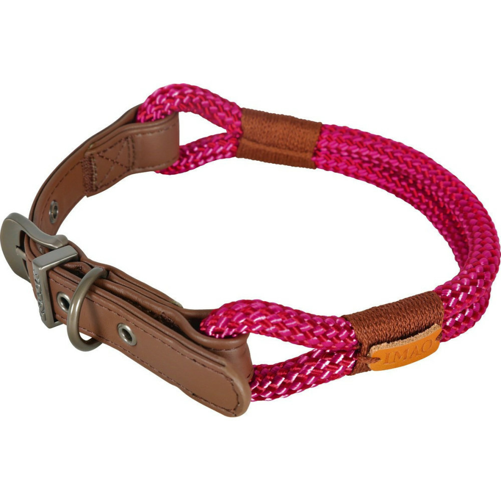 Collier imao 40 cm x 6 mm hyde park fuchsia pour chien.