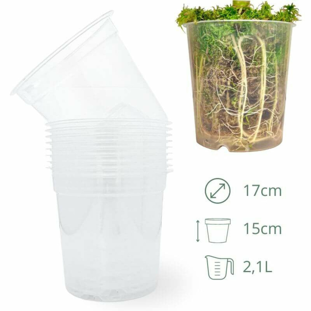 Lot x10 pots transparents - pot de 17cm - pots seuls