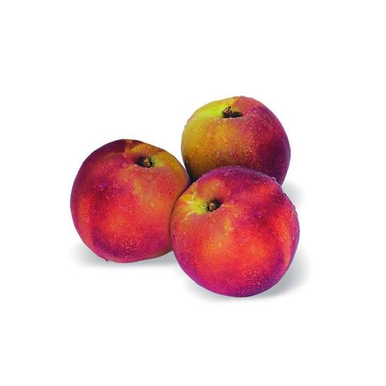 Nectarinier nain nectarinette - nains de jardins® pot de 4.5l - 30/60 cm
