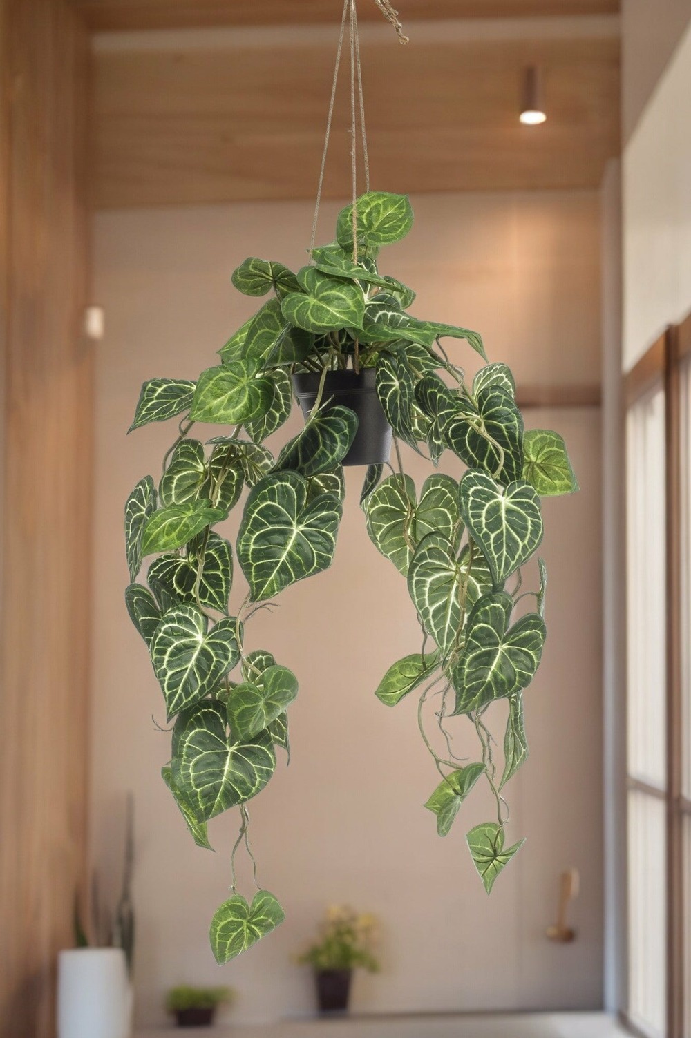 Anthurium clarinerdium plante artificielle - h80cm, ø18cm