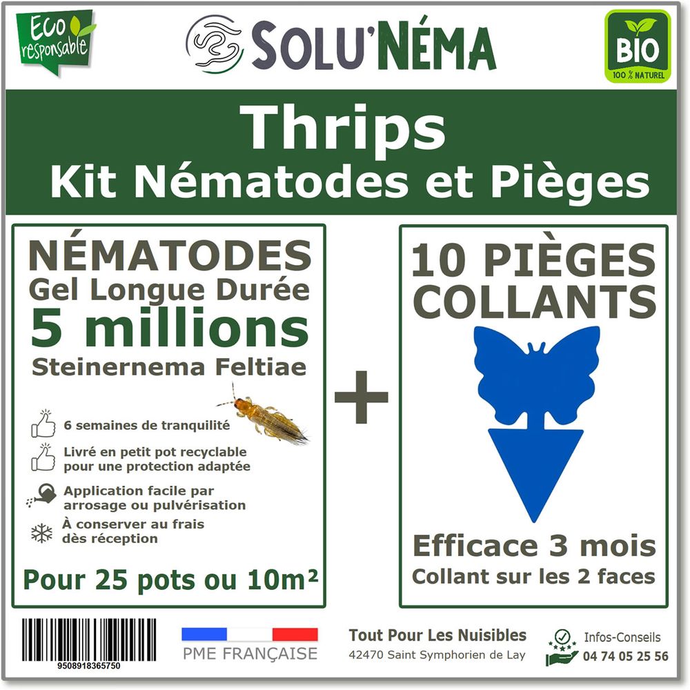 Pièges Anti Punaises De Lit Sans Produits Chimiques - Kit 4 Pièges + 4 Recharges, Protection Jusqu'à 6 Mois