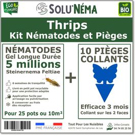 Pièges Anti Punaises De Lit Sans Produits Chimiques - Kit 4 Pièges + 4 Recharges, Protection Jusqu'à 6 Mois