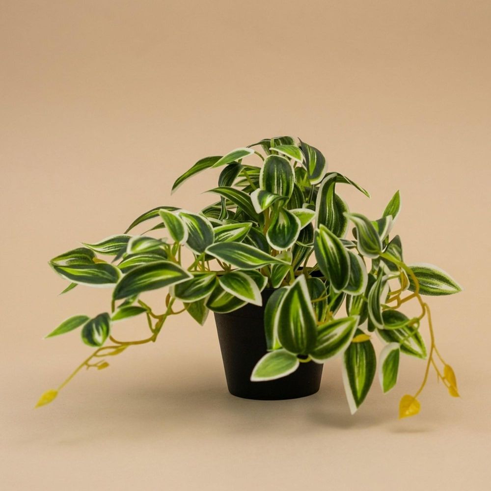 Tradescantia vert/blanc - plante artificielle