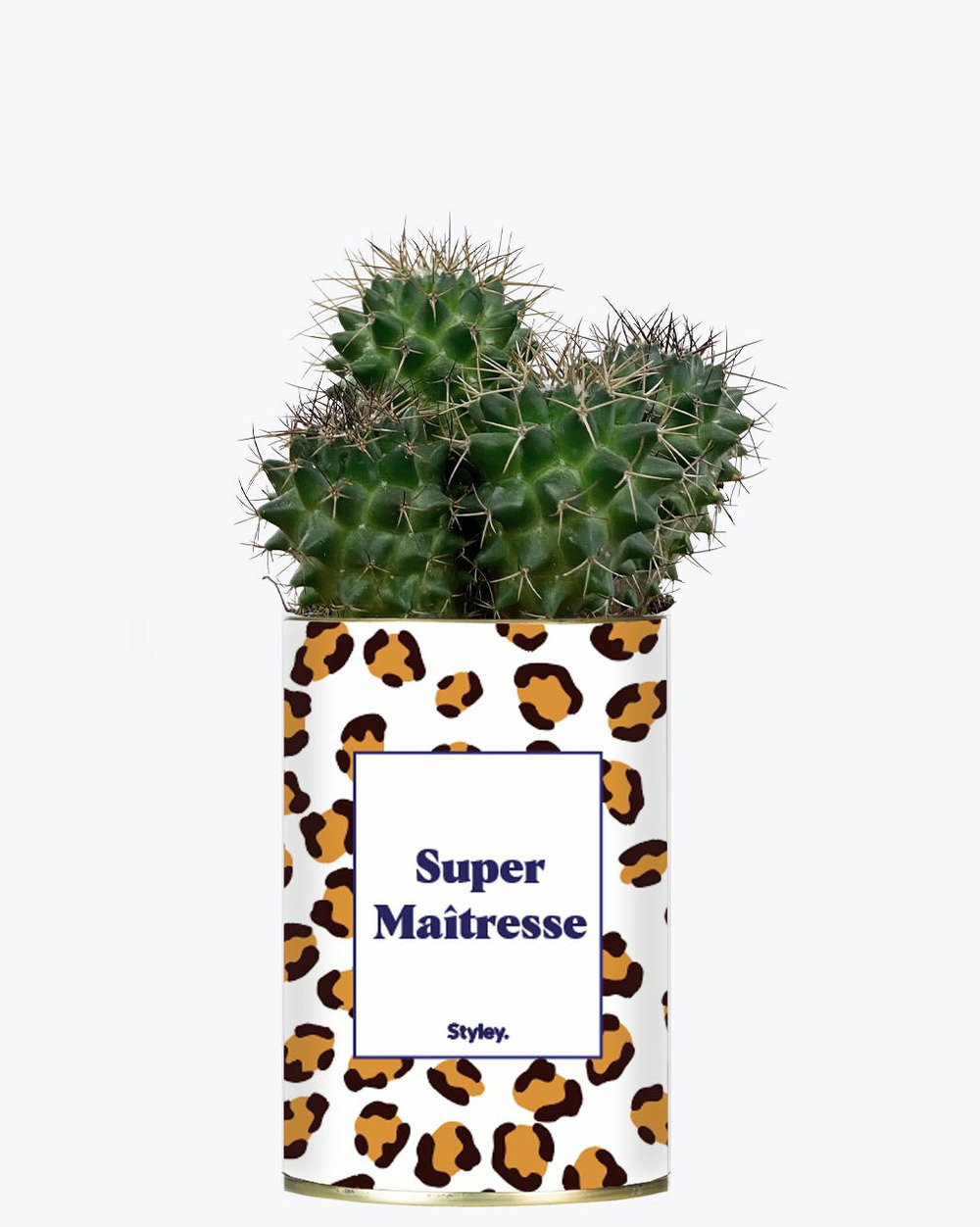 Plante personnalisée - super maîtresse - cactus