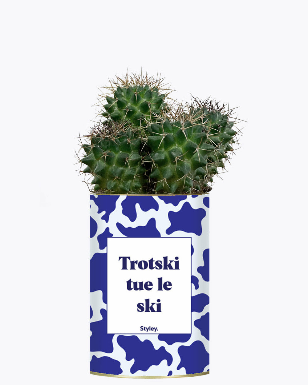Plante drôle - trotski tue le ski - cactus