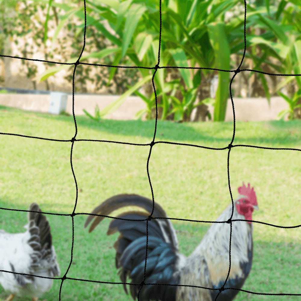 Attrape-poulet Rétractable Avec Filet Et Crochet - Perche Télescopique 41-150cm - Pour Volailles, Canards, Pêche