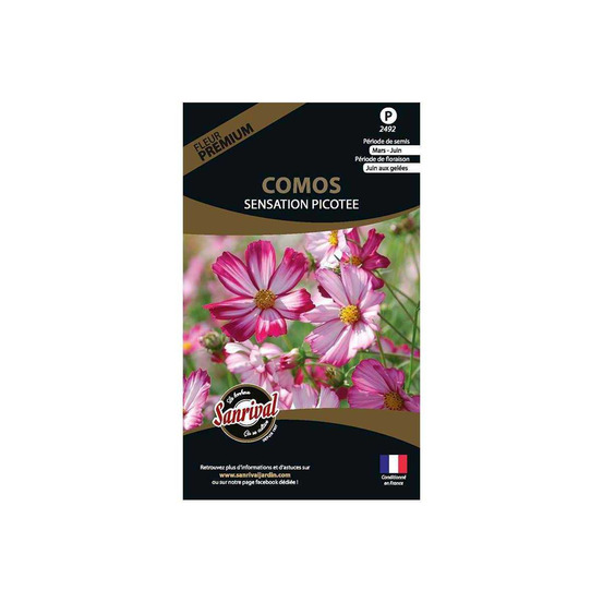 Graines de fleurs premium cosmos sensation picotée