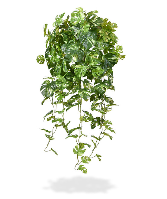 Monstera plante en chute artificielle de 80 cm panaché
