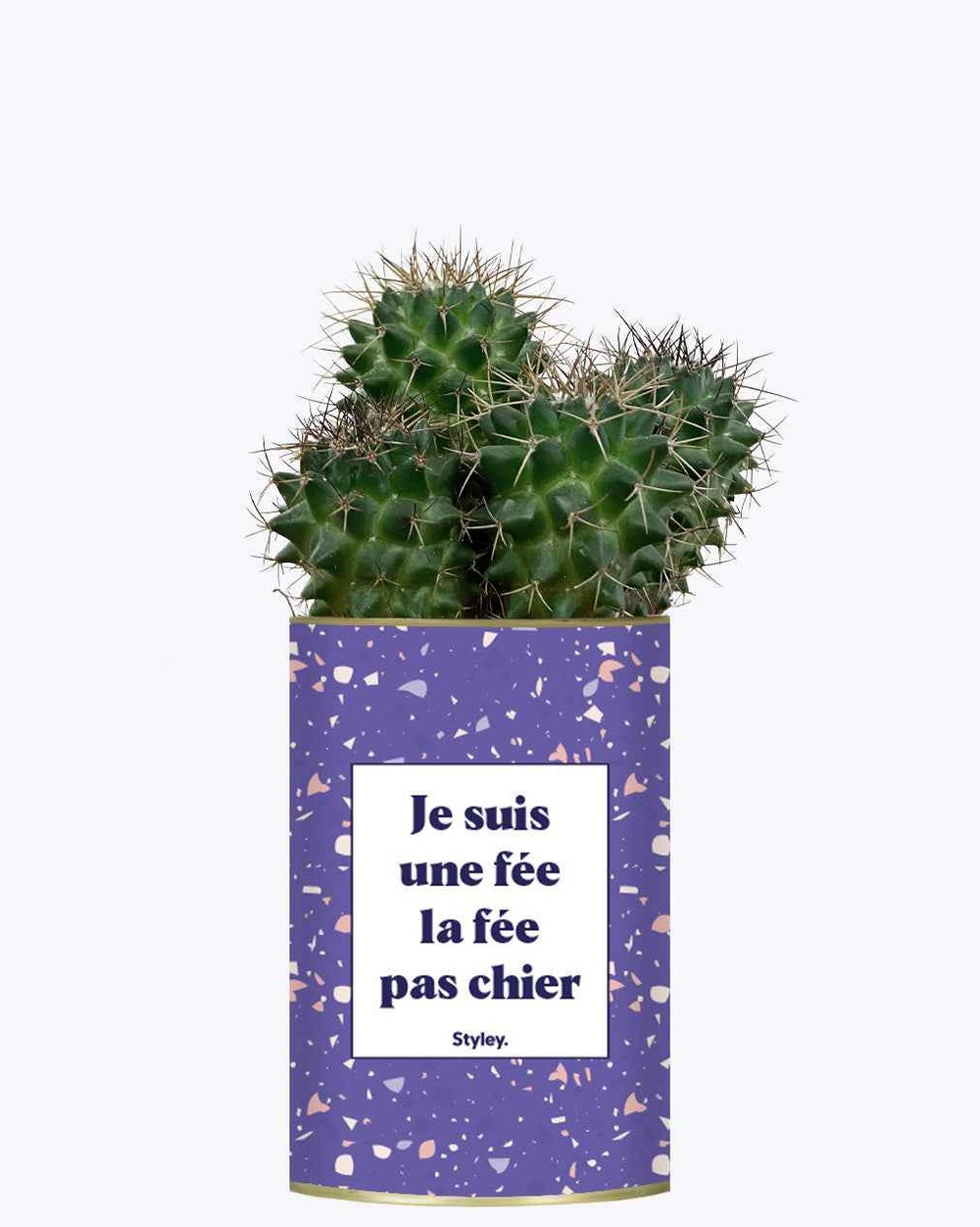 Plante personnalisée - je suis une fée la fée pas chier - cactus