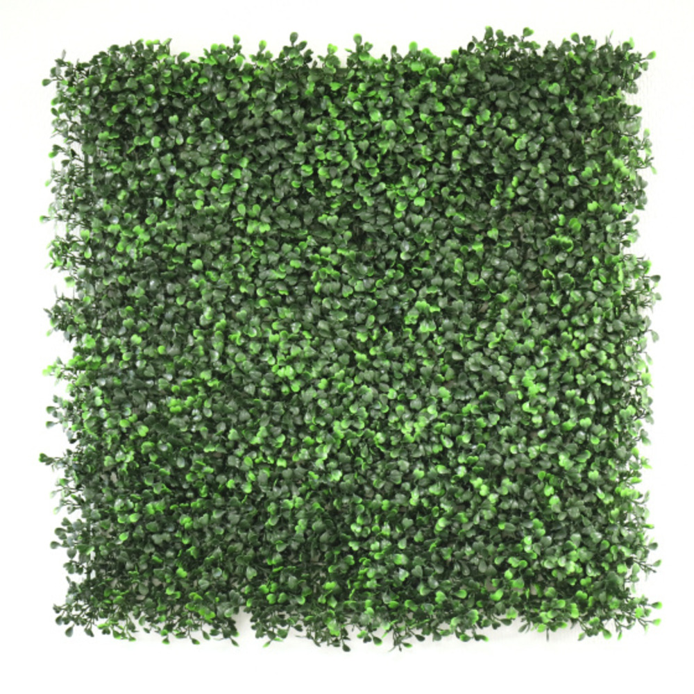 Mur végétal synthétique - buis à petites feuilles - intérieur et extérieur - 0,5 m x 0,5 m