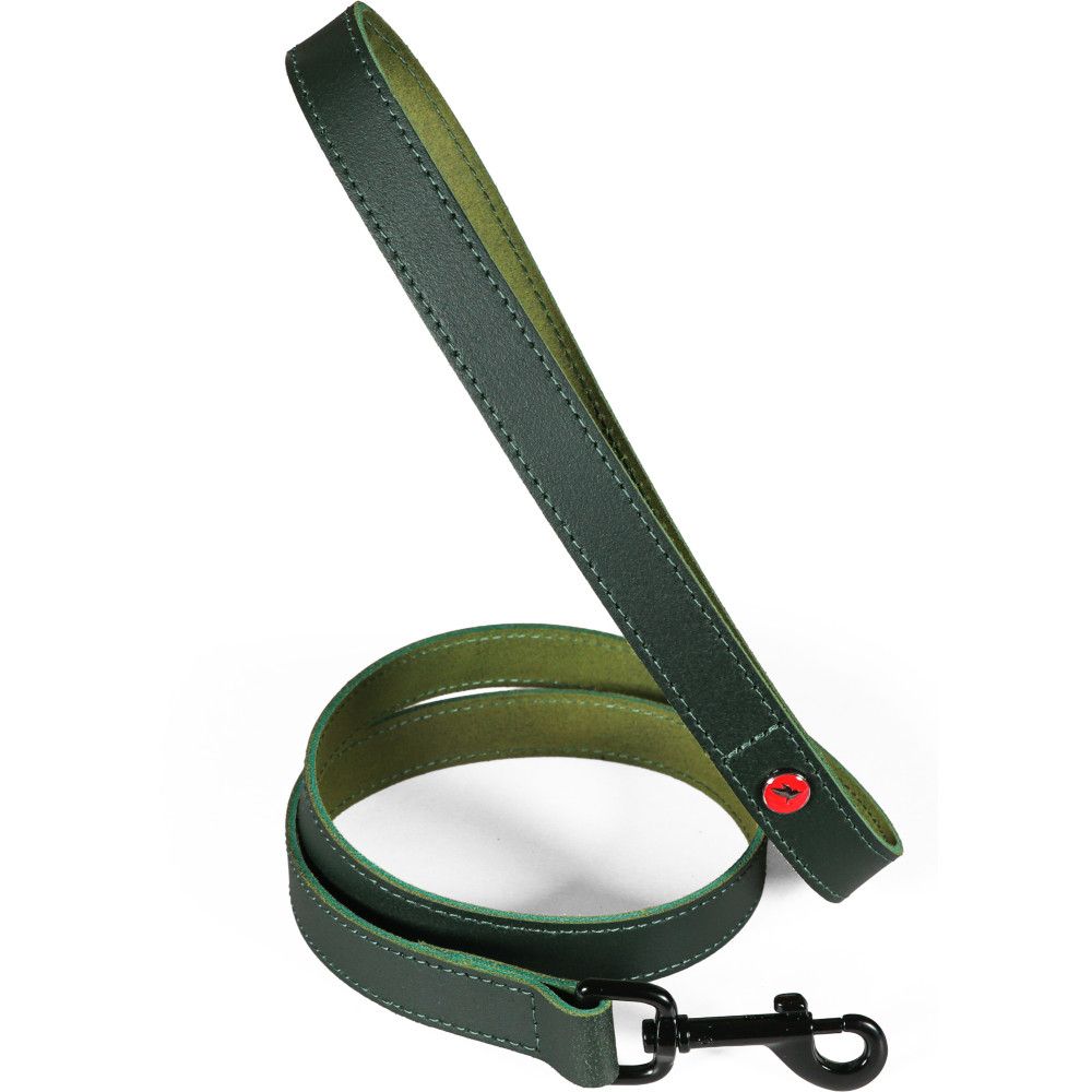 Laisse pour chien en cuir européen, longueur 1 m, sangle 20 mm - zolux (ver